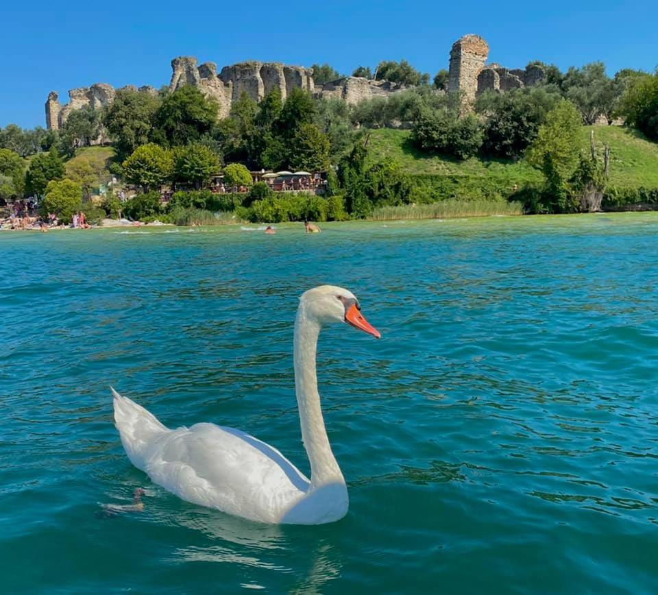Appartamento Casa Vacanze Spiaggia D'Oro Desenzano del Garda Ngoại thất bức ảnh